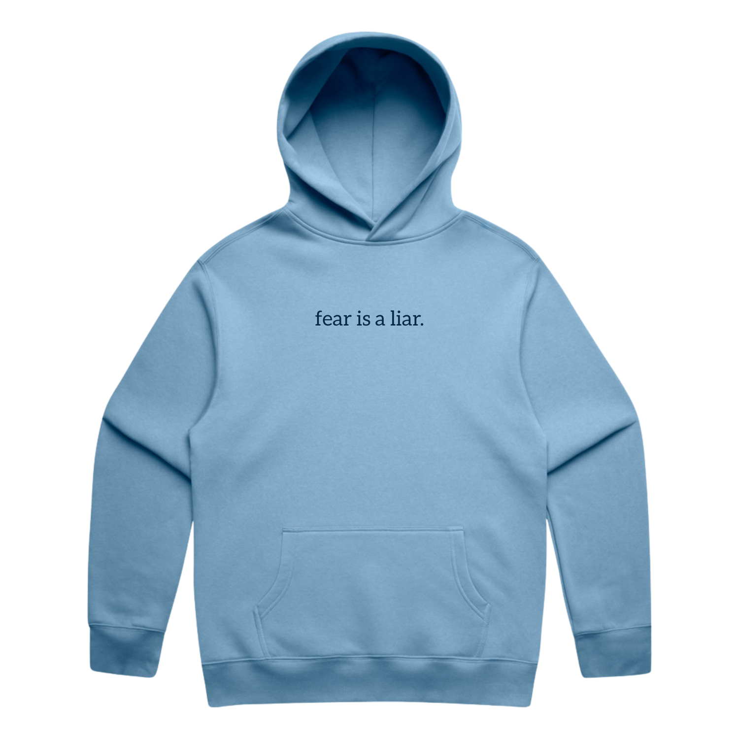 Fear is a liar Hoodie