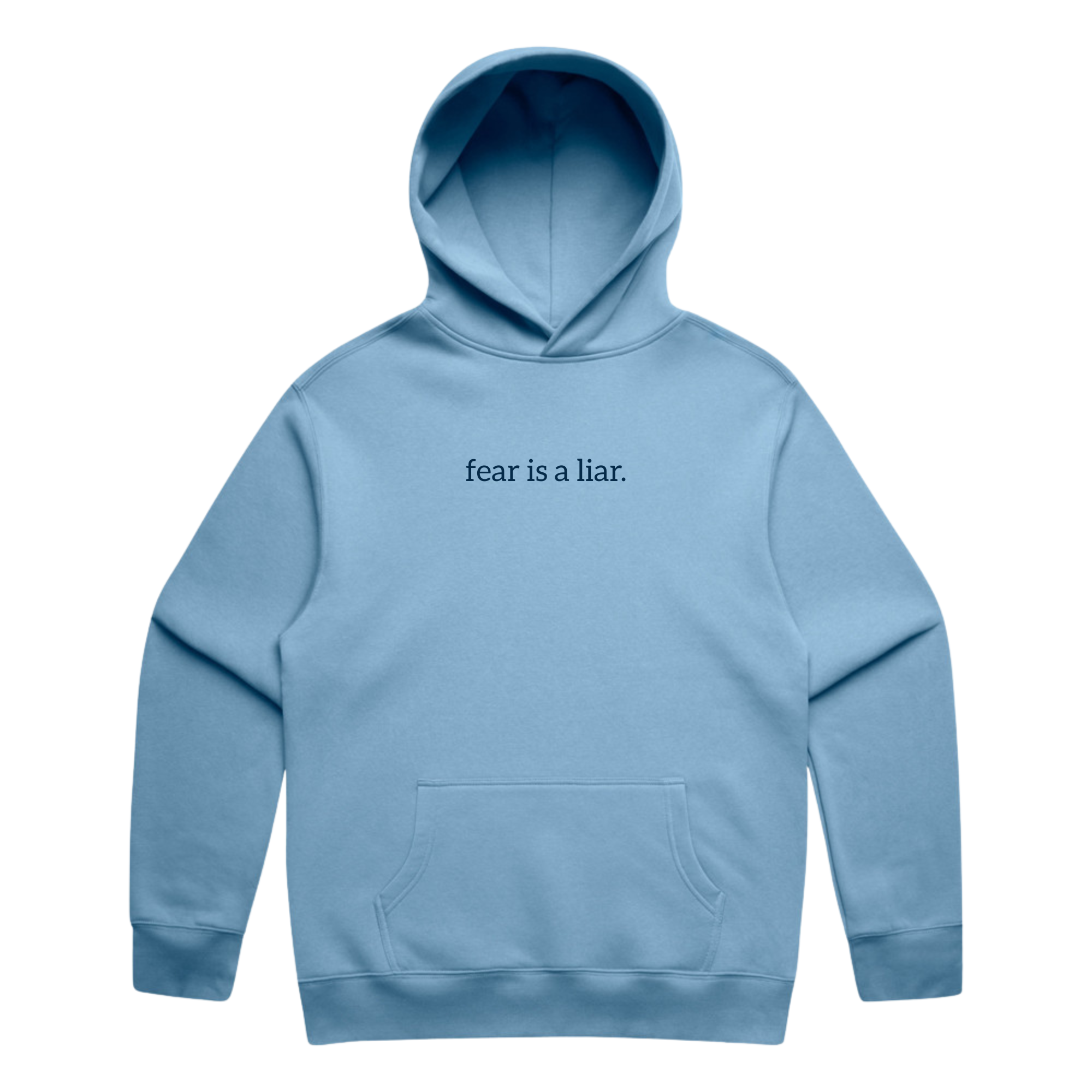Fear is a liar Hoodie